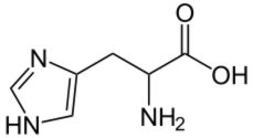 Histidine Structure