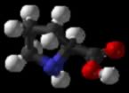 L Proline 3D Balls